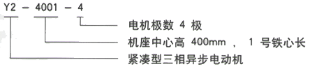 YR系列(H355-1000)高压YR5603-12/355KW三相异步电机西安西玛电机型号说明